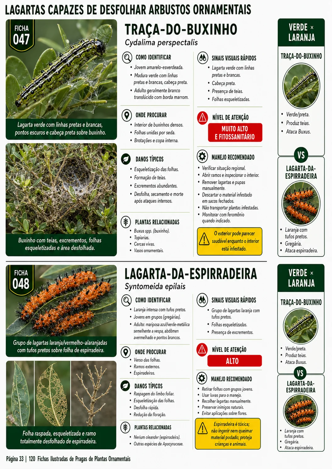 Prévia 4 do produto